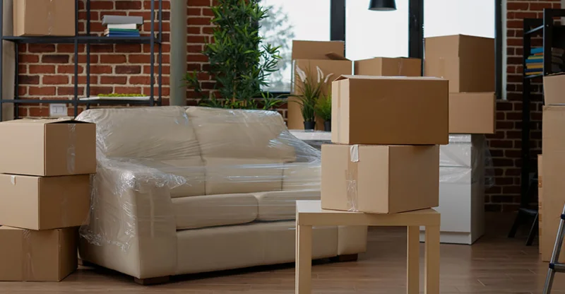 Destek ve Ek Hizmetler