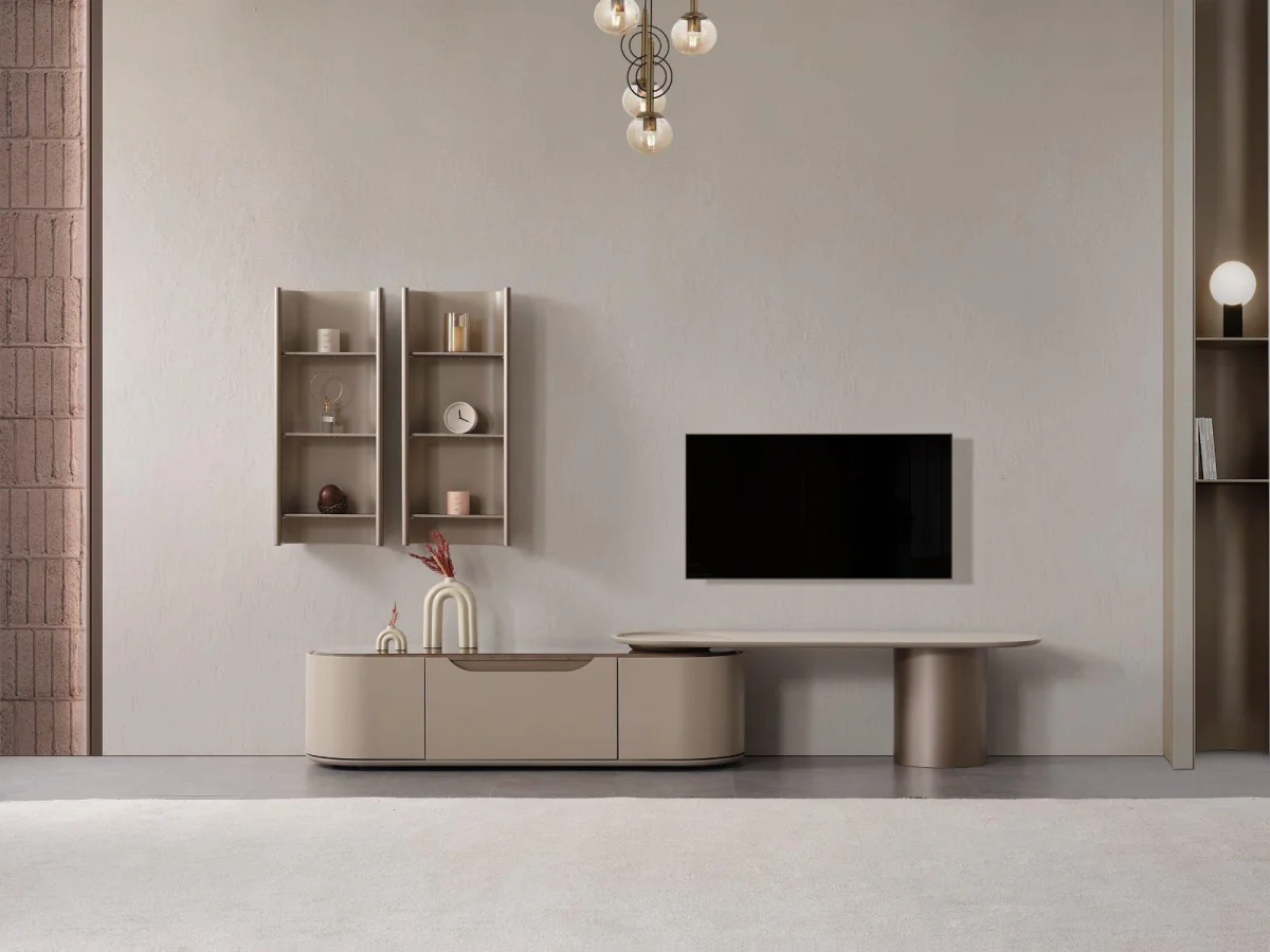 Ekol Televizyon Ünitesi