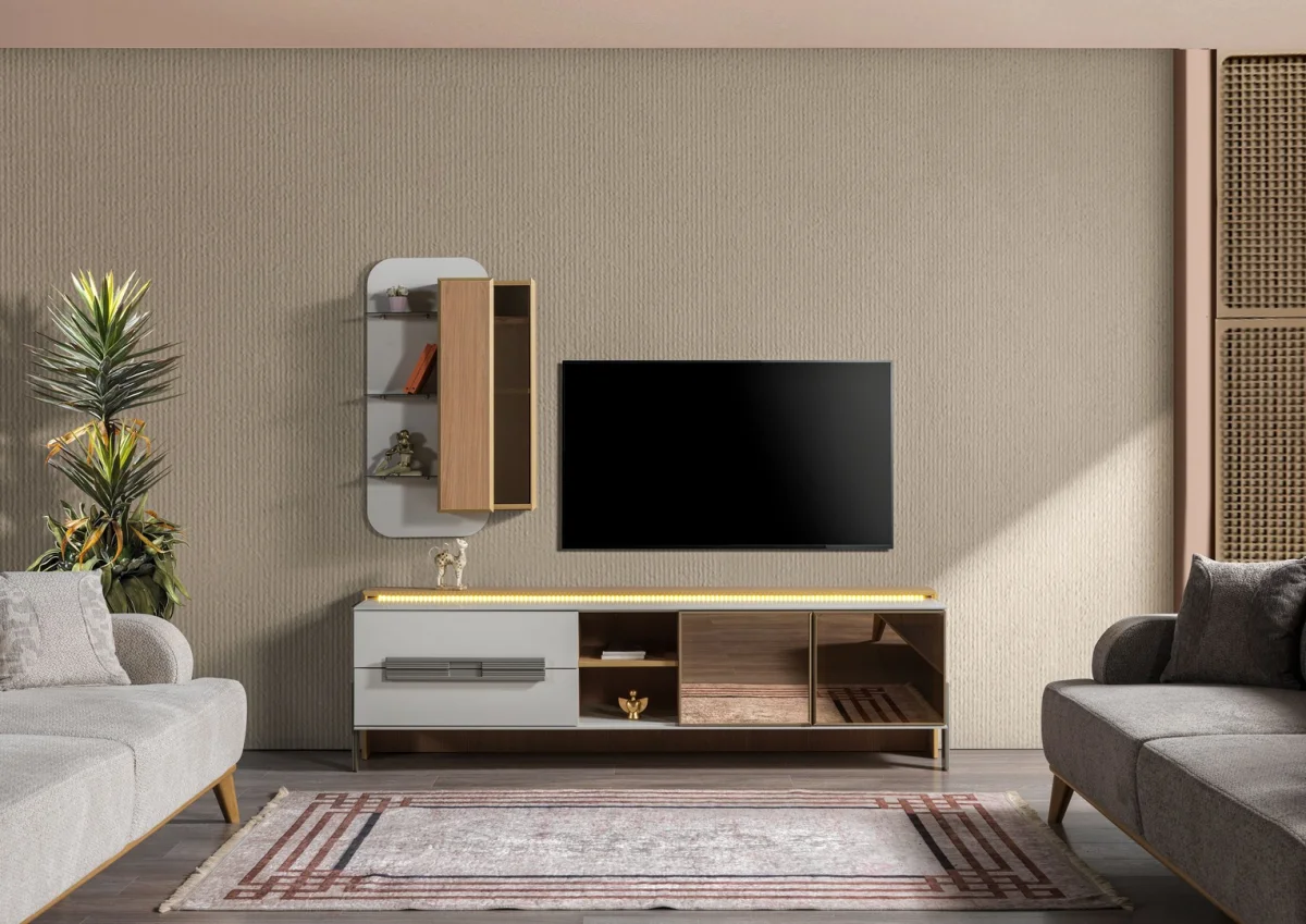 Aspendos Televizyon Ünitesi